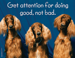 Get Attention For Doing Good