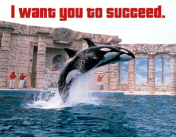 I Want You To Succeed