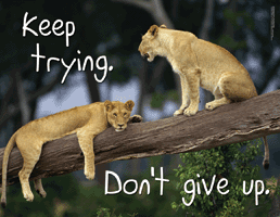Keep Trying-Don't Give Up Poster