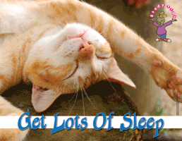 Get Lots Of Sleep - Click Image to Close