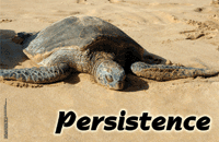 Persistence - Inspiration