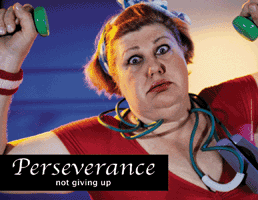 Perseverance: Not Giving Up