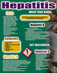 Health Issues Poster Set & Handouts