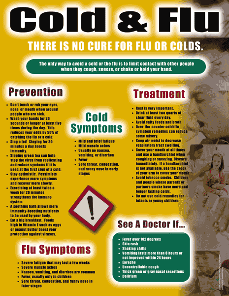 Cold & Flu - Health Issues Poster & Handout