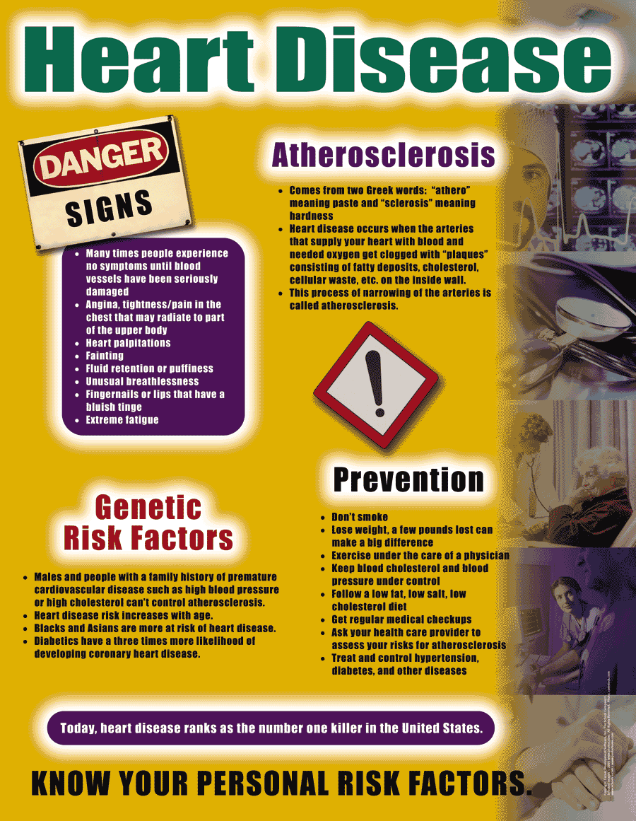 Heart Disease - Health Issues Poster & Handout