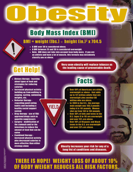 Obesity - Health Issues Poster & Handout