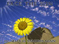 Face The Sun