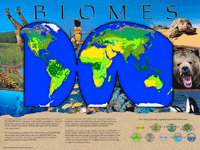 Biomes Overview