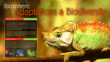 Adaptations & Biodiversity