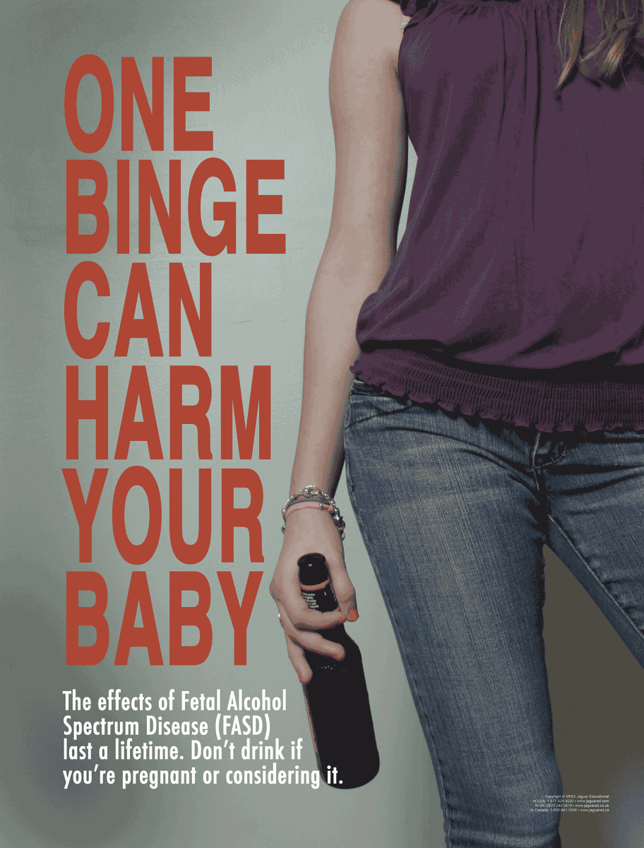 Teen Pregnancy & Parenting Realities Poster Set