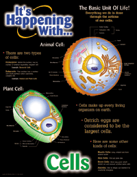 It's Happening With Science Poster Set - Click Image to Close