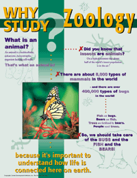 Why Study Zoology